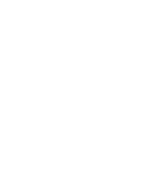 ICON Grafikerstellung weiss