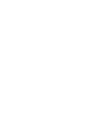 ICON Siebdruck weiss